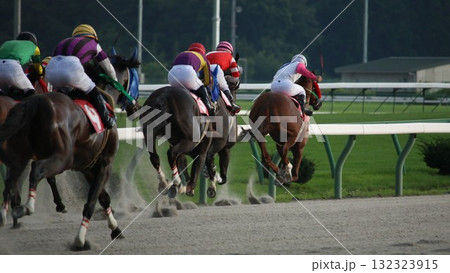 盛岡競馬場を疾走する競走馬 盛岡競馬場を疾走する競走馬 132323915