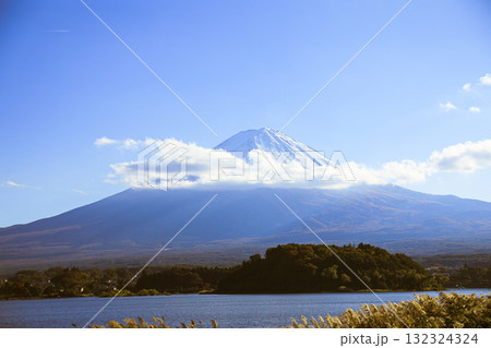 河口湖周辺の青空と黄金ススキの穂、そして笠雲の富士山 132324324
