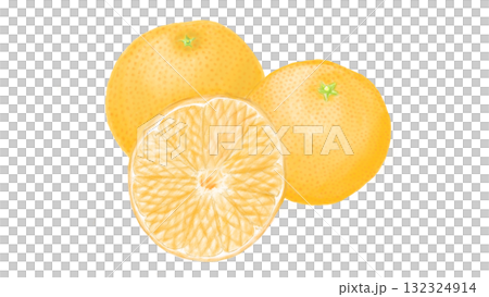 用鉛筆畫的橘子 132324914