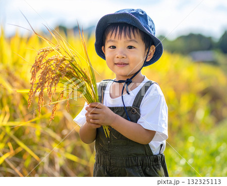 秋の田んぼで稲を持って微笑む男の子 秋の田んぼで稲を持って微笑む男の子 132325113