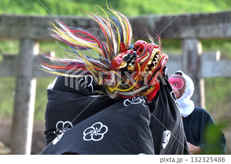 獅子舞 神戸市無形文化遺産 南僧尾の神楽獅子 獅子舞 神戸市無形文化遺産 南僧尾の神楽獅子 132325486