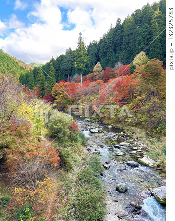 紅葉が美しい渓谷 132325783