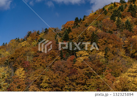 定山渓の紅葉 定山渓の紅葉 132325894