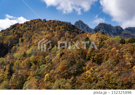定山渓の紅葉 定山渓の紅葉 132325896