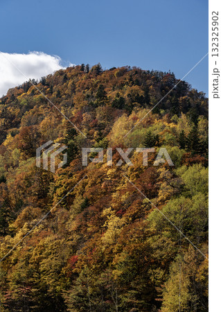 定山渓の紅葉 定山渓の紅葉 132325902