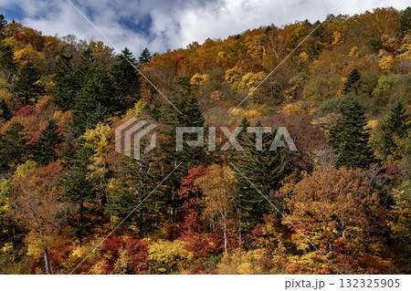 定山渓の紅葉 定山渓の紅葉 132325905