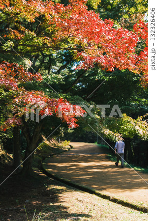 [深山公園]色鮮やかな紅葉 132326406