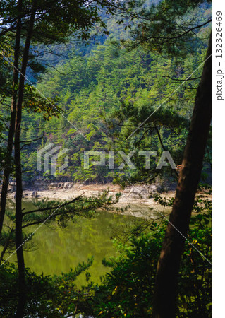 [深山公園]自然豊かな公園の風景 132326469