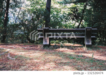 [深山公園]自然豊かな公園の風景 132326474