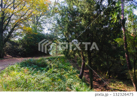 [深山公園]自然豊かな公園の風景 132326475