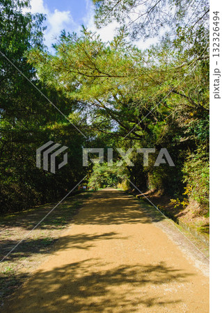 [深山公園]自然豊かな公園の風景 132326494