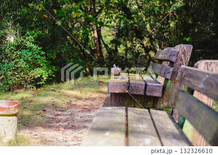 [深山公園]ノスタルジックなベンチ 132326610