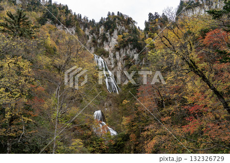 紅葉と絶景の滝 紅葉と絶景の滝 132326729