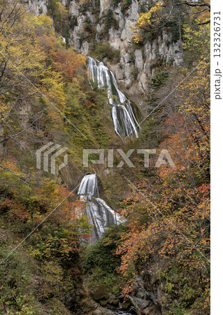 紅葉と絶景の滝 132326731