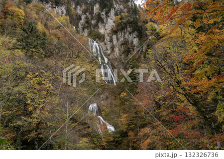 紅葉と絶景の滝 132326736