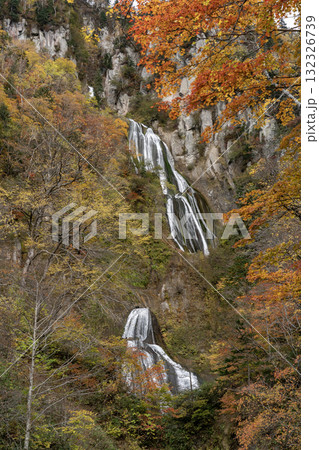 紅葉と絶景の滝 132326739