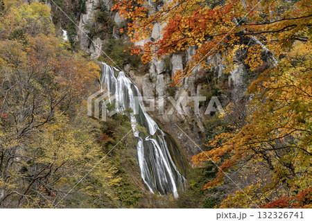 紅葉と絶景の滝 紅葉と絶景の滝 132326741