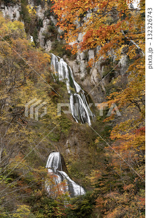 紅葉と絶景の滝 紅葉と絶景の滝 132326743
