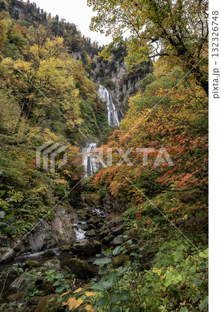 紅葉と絶景の滝 紅葉と絶景の滝 132326748