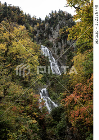 紅葉と絶景の滝 紅葉と絶景の滝 132326749