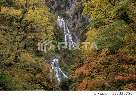 紅葉と絶景の滝 132326750