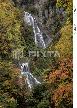 紅葉と絶景の滝 紅葉と絶景の滝 132326752