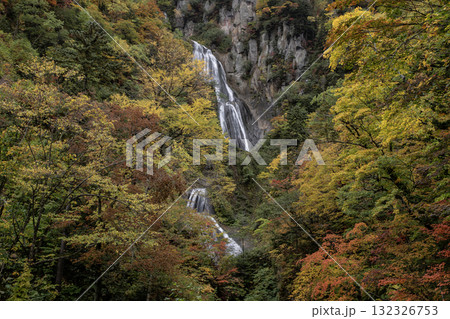 紅葉と絶景の滝 132326753