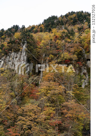 天人峡の秋 天人峡の秋 132327016