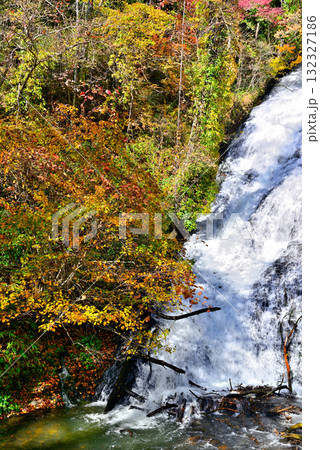 奥日光 三名瀑の一つ湯滝の紅葉 132327186