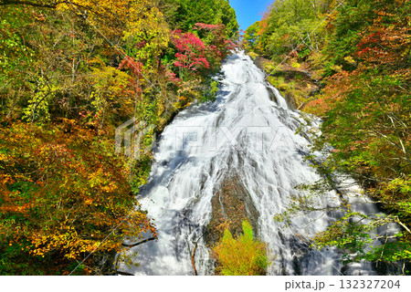 奥日光 三名瀑の一つ湯滝の紅葉 132327204
