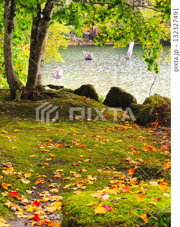 日光国立公園「丸沼」 日光国立公園「丸沼」 132327491