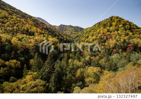 三国峠の紅葉 132327497