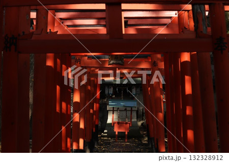 冬の陽を受けて明暗を表す播磨国総社内の藤井稲荷神社 冬の陽を受けて明暗を表す播磨国総社内の藤井稲荷神社 132328912