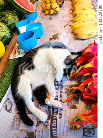 A relaxed black and white cat is peacefully sleeping on a newspaper next to vibrant tropical fruits like watermelons, bananas, and dragon fruit in a sunny outdoor market. A relaxed black and white cat is peacefully sleeping on a newspaper next to vibrant tropical fruits like watermelons, bananas, and dragon fruit in a sunny outdoor market. 132329280