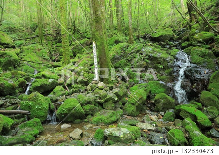 四万十川源流点の湧き出す水の流れの景色 132330473