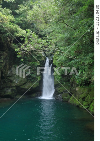 青く美しい滝つぼに流れ落ちるにこ淵の滝の景色 青く美しい滝つぼに流れ落ちるにこ淵の滝の景色 132330480