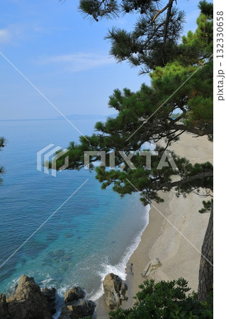 桂浜の早高神社から望む美しい海岸の景色 桂浜の早高神社から望む美しい海岸の景色 132330658
