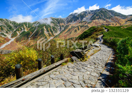 紅葉する室堂平ハイマツと石畳の散策路 立山黒部アルペンルート 富山県 紅葉する室堂平ハイマツと石畳の散策路 立山黒部アルペンルート 富山県 132331129