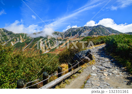 紅葉する室堂平ハイマツ茂る散策路 立山黒部アルペンルート 富山県 紅葉する室堂平ハイマツ茂る散策路 立山黒部アルペンルート 富山県 132331161