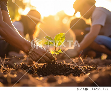 Young Women Planting Trees at Sunset Young Women Planting Trees at Sunset 132331175
