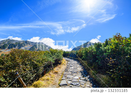 立山黒部アルペンルート　室堂平ハイマツ茂る散策路を歩く　立山黒部アルペンルート　富山県 132331185