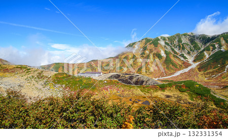 立山黒部アルペンルート　紅葉する室堂平　立山黒部アルペンルート　富山県 132331354