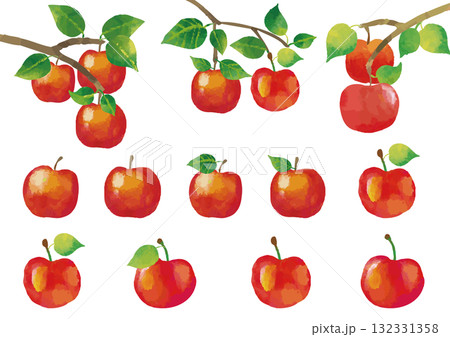 水彩風 リンゴのイラストセット（葉っぱ付きあり） 132331358