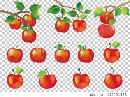 水彩風 リンゴのイラストセット（葉っぱ付きあり） 132331358