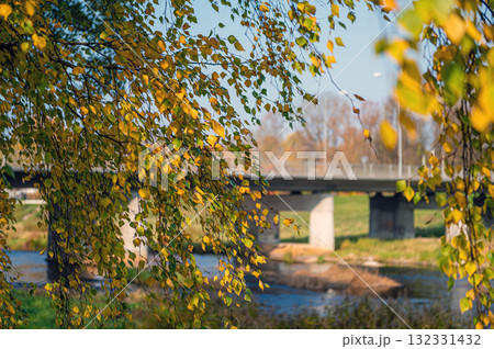 closeup of autumnal birch branches against a defocused traffic bridge over a river closeup of autumnal birch branches against a defocused traffic bridge over a river 132331432