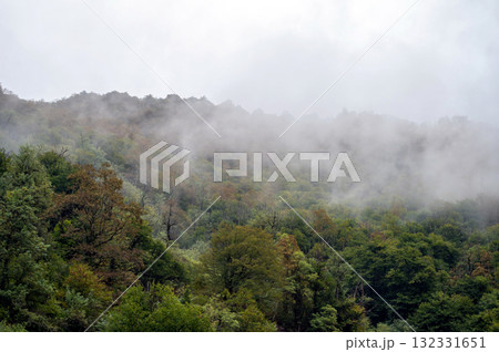 Fog over the forest in the mountains. Nature background with copy space Fog over the forest in the mountains. Nature background with copy space 132331651