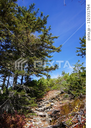 頂きに向かう道~東大雪 頂きに向かう道~東大雪 132331764