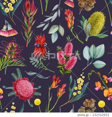 Australia native flora elements seamless pattern. Hand drawn waratah flower, banksia, golden wattle, grevillea, gum tree watercolor illustrations. Australian flowers elements on dark background 132332052
