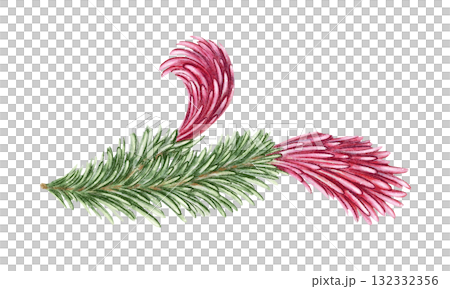 Norway spruce branch with green needle and pink female cones hand drawn in watercolor with sparkling and pencil texture. Elegant festive botanical element. Perfect for botany card and other project. 132332356