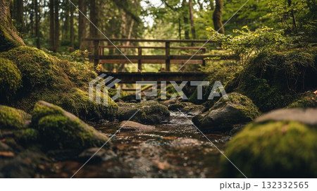 森の渓流に架かる木製歩道橋 132332565